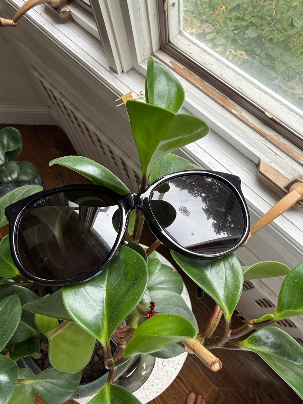 Gucci Black Gloss Cat-Eye Sunglasses
